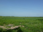 19410P1010257.JPG