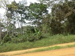 51011CIMG4141.JPG