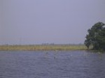 1477R0015188_small.jpg