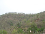1685302052008(13).JPG