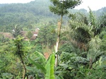 13887IMG_4167.JPG