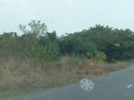 51563P1000735.JPG