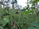 46434CIMG0723.JPG