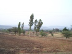 1722520042008(163).JPG