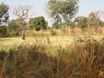 26624DSC00285.JPG
