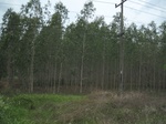 34377IMG_5291.JPG