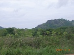 8917nigeria 132.jpg