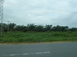 20369P1020226.JPG