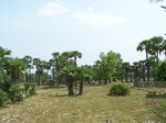 17412100_2098.JPG