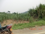 33011CIMG2170.JPG