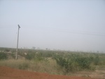 9156RIMG0237.JPG