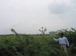 7973gt92b_cropland_sunflower.jpg