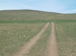 23144P1020675.JPG