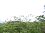 14710IMG_5093.JPG