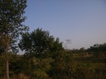 9012RIMG0089.JPG