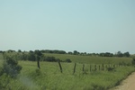 2024-06-17_21-53-02_027624E0-891E-4710-9029-D48481B31B64.jpeg
