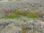 24924DSC00031.JPG