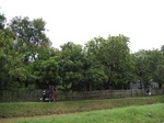 15777IMG_4866.JPG