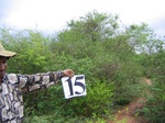 1175315-shrubland-densest-iucna.jpg