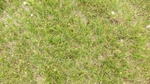 34108CIMG2316.JPG