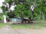 32081IMG_5610.JPG