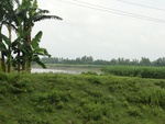 21685DSC00221.JPG