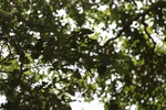 2024-08-05_14-50-00_AF19CABB-EC72-4654-A8F8-C1D120A88320.jpeg