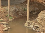 51100CIMG4943.JPG