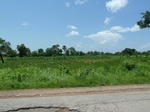 19584P1010431.JPG
