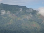 16266IMG_5039.JPG