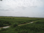14328IMG_4669.JPG