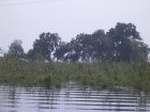 1435R0015167_small.jpg