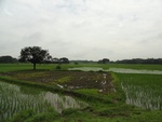 22074DSC00309.JPG