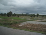 33295IMG_5625.JPG
