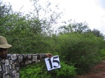 1173115-shrubland-densest-iucnb.jpg