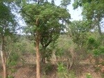 3799RIMG0103.JPG