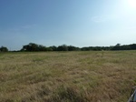 39259P1070748.JPG