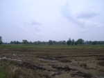 28236RIMG0235.JPG