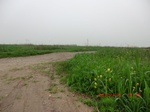 51753CIMG0112.JPG