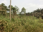 49220CIMG5557.JPG