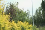 2024-08-05_14-55-46_98528037-CD6D-46E8-9E01-16D69AAE8189.jpeg