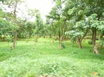 18826P1000665.JPG
