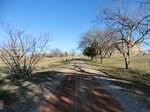 43151CIMG0180.JPG