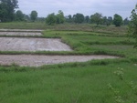34568RIMG0034.JPG