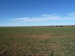 54045P1020223.JPG