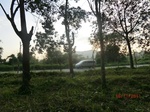 53077CIMG4409_调整大小.JPG