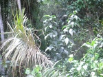 47890CIMG4227.JPG