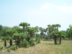 17413100_2099.JPG
