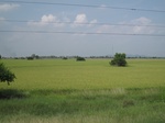 28362IMG_5253.JPG