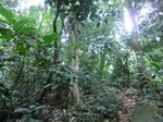 45631CIMG2716.JPG